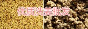 罗平干姜批发商%云南干姜-鲜姜价格|小黄姜图片|鲜姜供应