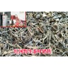 |古树茶批发市场#红河古树茶特点| 云南古树茶厂家供应