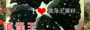 中国好石榴-云南滇泽王黑籽石榴