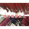 重庆银柳供应信息-银柳产地直销报价