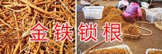 曲靖金铁锁生产基地&金铁锁种子批发商-黄精销售