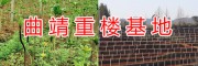 优质滇重楼根-曲靖宣威重楼生产种植基地/宣威市农业科技