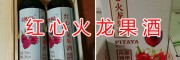 红心火龙果酒-文山火龙果酒