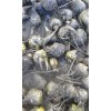 宁蒗县天缘中药材公司供应信息