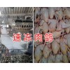 玉溪哪里批发速冻肉鸽&新鲜冷藏乳鸽出售-速冻肉鸽价格