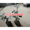 山豆根_ 山豆根种植前景_ 山豆根种子价格_  山豆根种苗