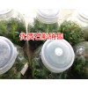 石斛怎么吃好_安龙石斛生物科技公司