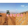 寻甸冬种马铃薯*云南马铃薯基地-昆明马铃薯批发商