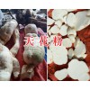 天花粉加工厂-天花粉生产基地/云南天花粉供应