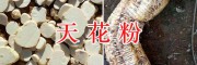 优质天花粉生产商-天花粉供应商-求购天花粉