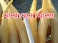 云南天门冬种苗_适合云南山谷平地或林荫处种植