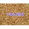 贝母多少钱一斤-贵州贝母价格/毕节贝母销售