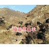 四川黑山羊批发/凉山黑山羊价格-黑山羊出售