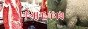 四川半细毛羊养殖基地：凉山半细毛羊销售-半细毛羊价格