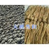 云南当归产地：大理当归批发&当归成品出售