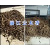 丽江云木香现货出售/云南云木香价格-400-6633-626