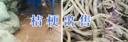 云南桔梗销售价格/丽江桔梗销售商-玉龙县桔梗
