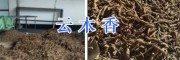 云木香供应商/400-6633-626丽江哪有云木香出售