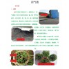 沼气渣用来栽培种植好不好?+有质量技术检测报告