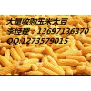 大量收购玉米，收购玉米价格，现金收购玉米