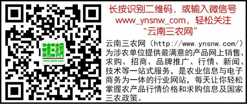 网站专用,二维码