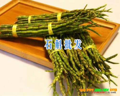 石斛批发
