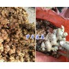 干姜块-罗平姜片加工*云南小黄姜供应