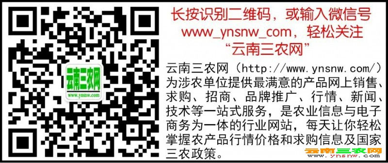 网站专用，二维码