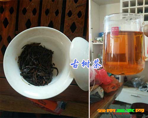 古树茶