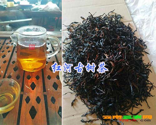 红河古树茶