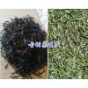 云南红河古树茶厂家供应: