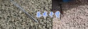 苍术亩产多少斤？苍术加工方法_云南苍术销售