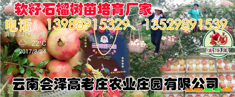 2 拷贝