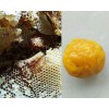 昆明哪有养蜂场*土蜂蜜批发——云南农庄