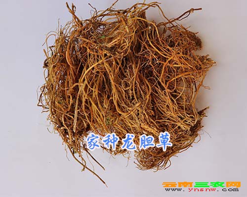 家种龙胆草