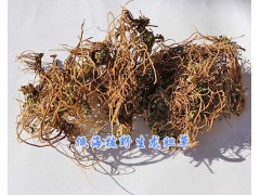 龙胆草价格-大理龙胆草批发/13577293119