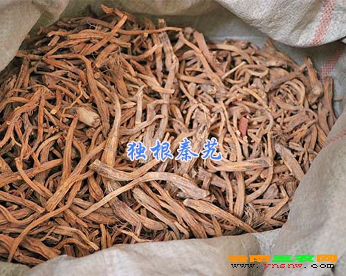 独根秦艽