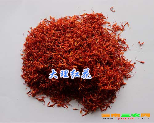 大理红花