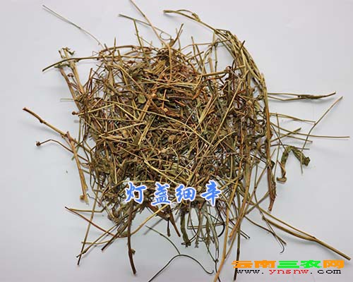 灯盏细辛