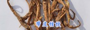 带皮桔梗一斤多少钱/云南去皮桔梗销售-13577293119