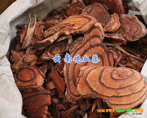 云南鸡血藤