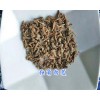 独角白芨、白芨片销售，大理白薇、薄荷干13577293119