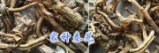 供应云南大理秦艽——荷叶中药材科技有限公司