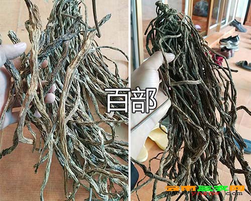 百部批发