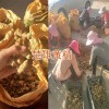 黄精鲜货批发-红花滇黄精块茎出售_云南滇黄精供应信息