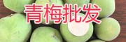 云南青梅大货销售-大理剑川青梅子—087164155848