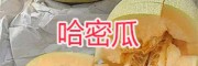 圣德龙芒果批发-大理哈密瓜销售*087164155848