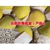 重庆芒果批发—产地云南保山芒果供应-15184878523