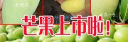 贵妃芒 2两以上多少钱?