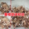 重楼种子直播种植技术方法与事项